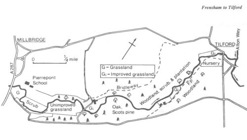 Frensham to Tilford