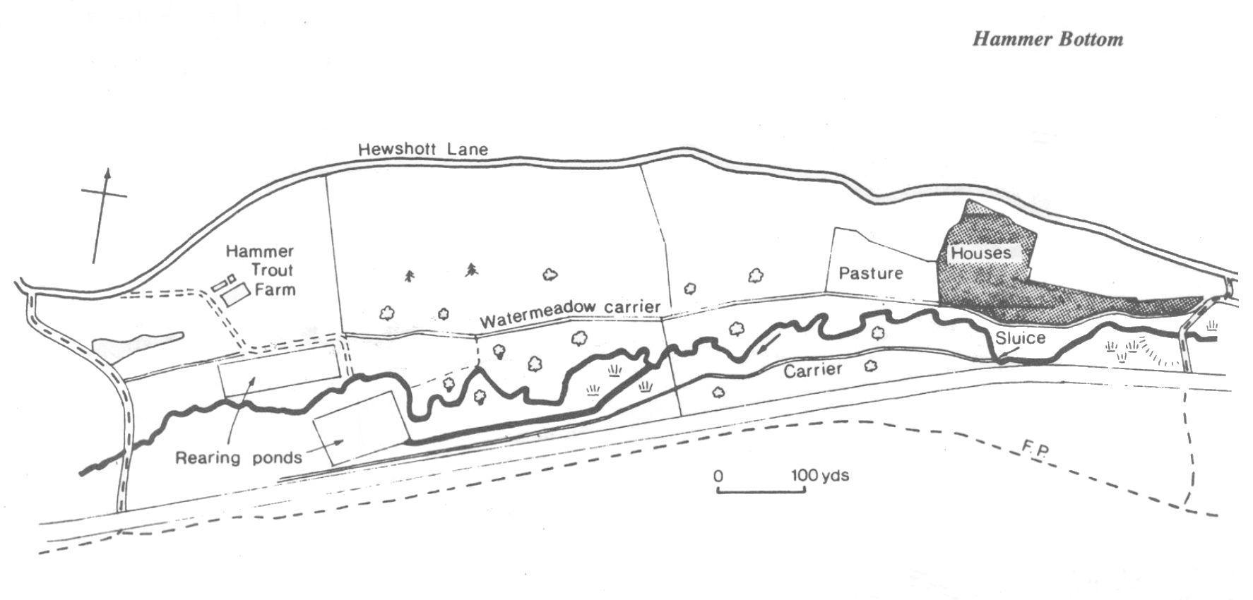 Hammer Bottom diagram 